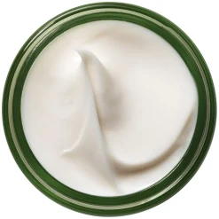 A Perfect World Antioxidant Moisturizer With White Tea 50ml