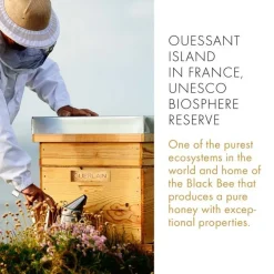 Abeille Royale Daily Repair Serum 50ml