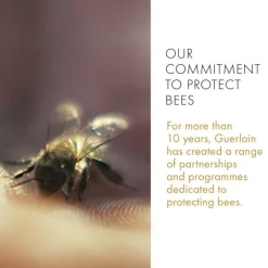 Abeille Royale Daily Repair Serum 50ml