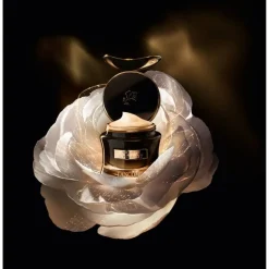 Absolue L'Extrait Eye Cream 15ml