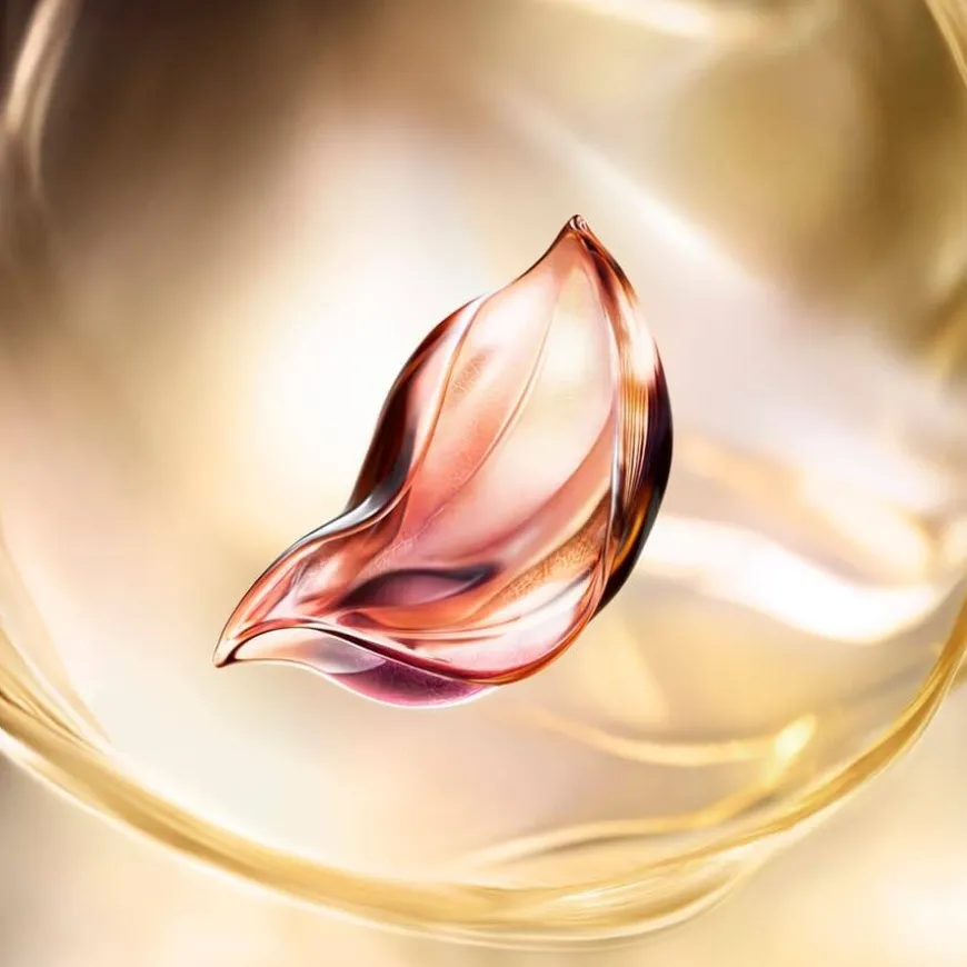 Absolue Longevity The Soft Cream 60ml