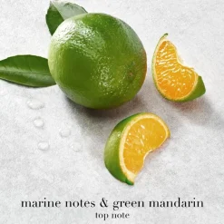 Acqua di Giò Eau De Parfum 100ml