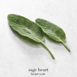 Acqua di Giò Eau De Parfum 30ml