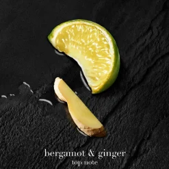 Acqua di Giò Parfum 100ml