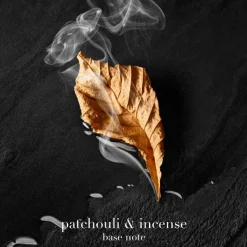 Acqua di Giò Parfum 100ml