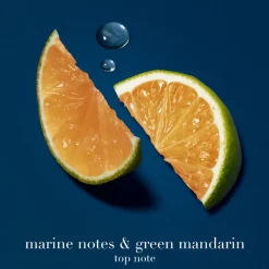 Acqua Di Giò Profondo Eau De Parfum 30ml