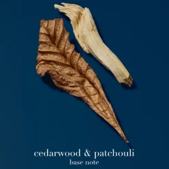 Acqua Di Giò Profondo Eau De Parfum 30ml