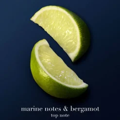 Acqua di Giò Profondo Parfum 100ml