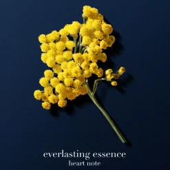 Acqua di Giò Profondo Parfum 100ml