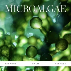 Active Algae Melting Cleansing Balm 30g