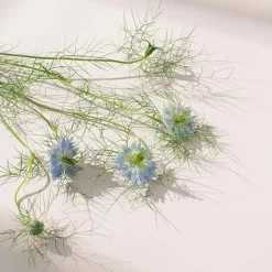 Active Liver Gummies 60 pcs