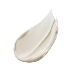 Advanced Night Repair Overnight Treatment Mask 65ml