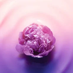 Age Perfect Rosy Glow Nightcream 50ml