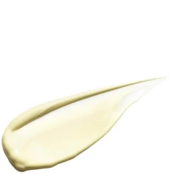 Age Reverse Day repair SPF30 50g