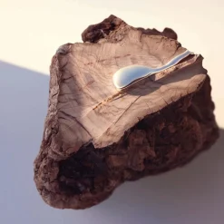 Alive Eau De Parfum For Women 50ml