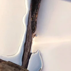 Alive Eau De Parfum For Women 50ml