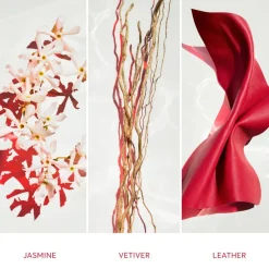 Alive Parfum Eau De Parfum 50ml