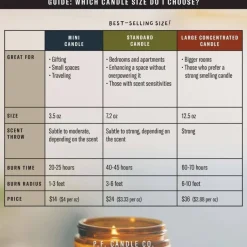 Amber & Moss Large Concentrated Soy Candle 370ml