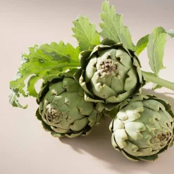 Apple Cider Extra 30 pcs