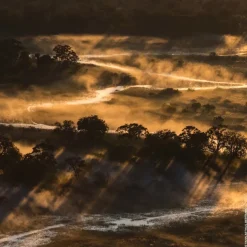 Aqua Allegoria Forte Bosca Vanilla Eau De Parfum 75ml