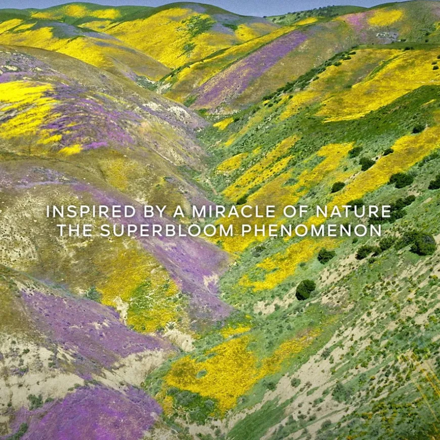 Aqua Allegoria Forte Florabloom Eau De Parfum 75ml