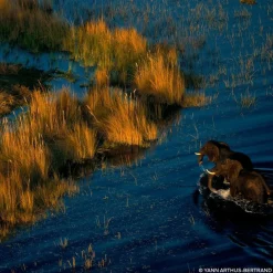 Aqua Allegoria Mandarin Basilic Forte Eau De Parfum 75ml