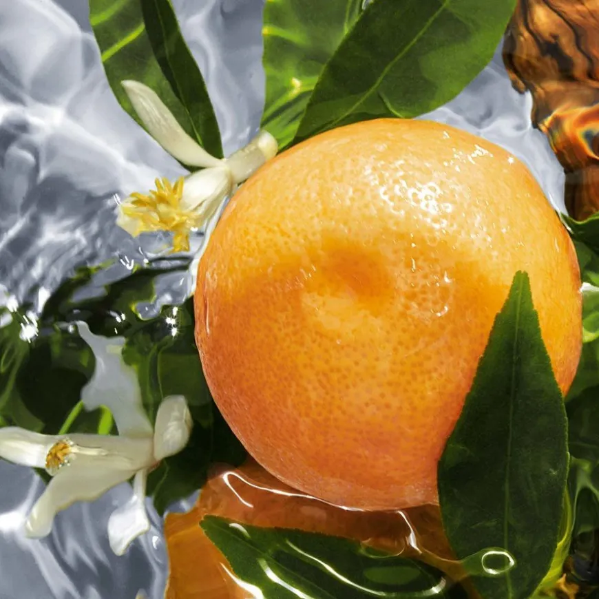 Aqua Allegoria Pamplelune Eau De Toilette 75ml