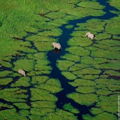 Aqua Allegoria Pera Granita Eau De Toilette 75ml