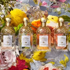 Aqua Allegoria Pera Granita Eau De Toilette 75ml