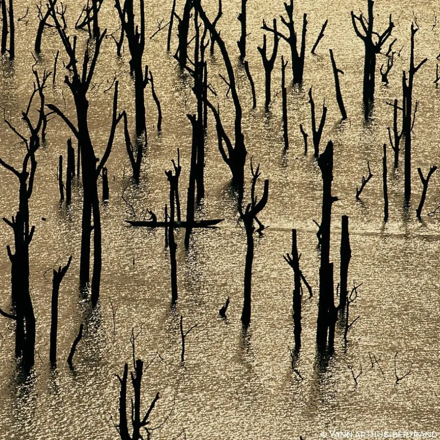 Aqua Allegoria Rosa Rossa Forte Eau De Parfum 75ml