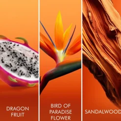 Bali Paradise Eau De Toilette 30ml