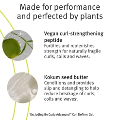 Be Curly Advanced Co-Wash 350ml