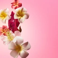 Beija Flor Elasti Cream 75ml