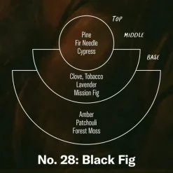 Black Fig Standard Soy Candle 213ml