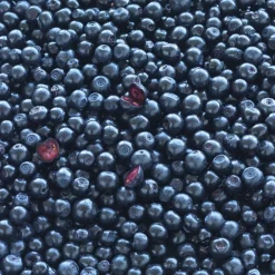 Blue Berry Plus 60 pcs