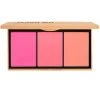 Blush Palette Beautiful Earthling 14,4g