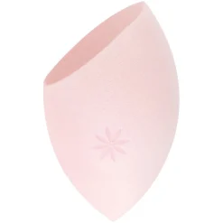 Body Blender Sponge