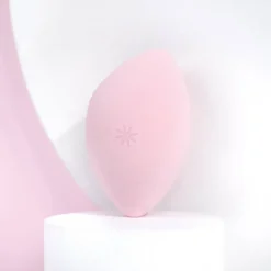 Body Blender Sponge