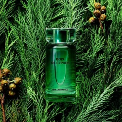 Bois De Cyprès Eau De Toilette 50ml