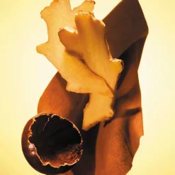 Boss The Scent Eau De Toilette For Men 100ml