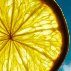 Bottled Bold Citrus Eau De Parfum 50ml