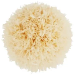 Brush 221S Mini Tapered Blending