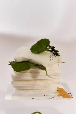 Centella 3% PHA Gentle Liquid Exfoliating Serum 120ml