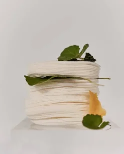 Centella 3% PHA Gentle Liquid Exfoliating Serum 120ml