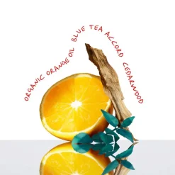 CK Everyone Eau De Toilette Unisex 50ml