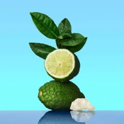 Ck One Eau De Toilette 50ml