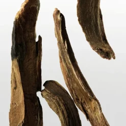 ck One Essence Eau de Parfum 50ml