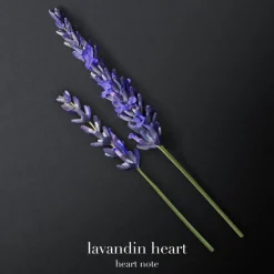 Code Eau De Toilette 125ml