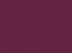 Color Fetish Matte Lipstick 360 Dahlia 4g