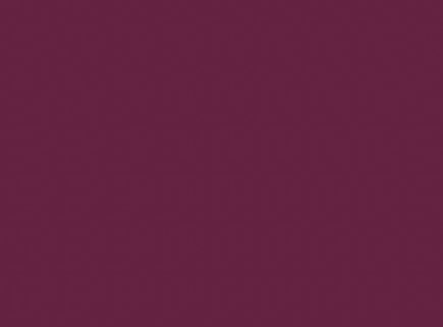 Color Fetish Matte Lipstick 360 Dahlia 4g